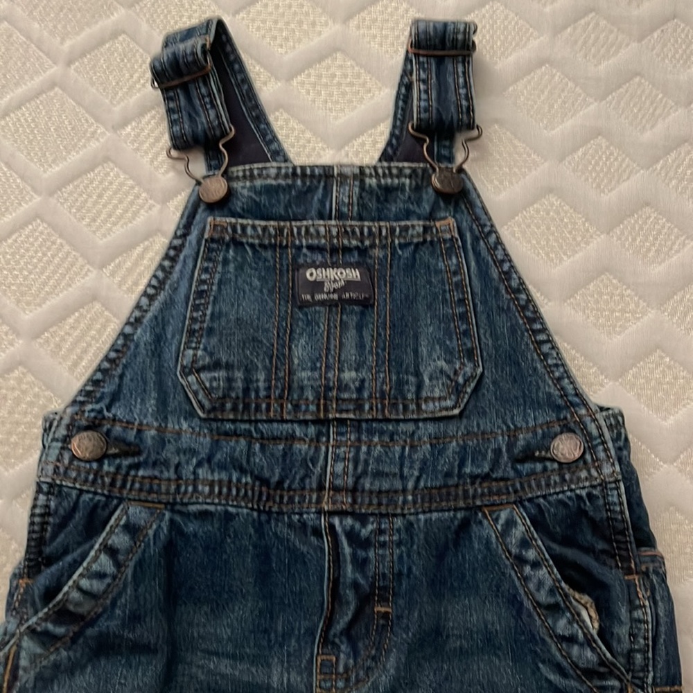 Overalls! - Picture 2 of 5